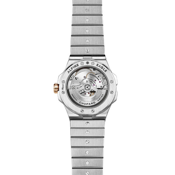 298600-6001 - ALPINE EAGLE 41MM