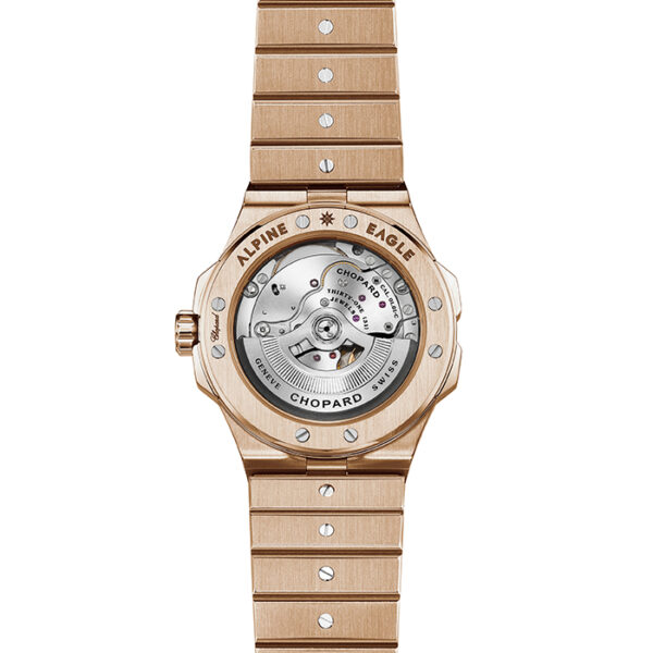 295363-5001 - ALPINE EAGLE 41MM