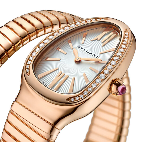 103003 - SERPENTI TUBOGAS