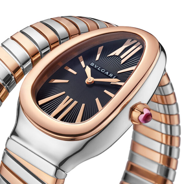 102123 - SERPENTI TUBOGAS