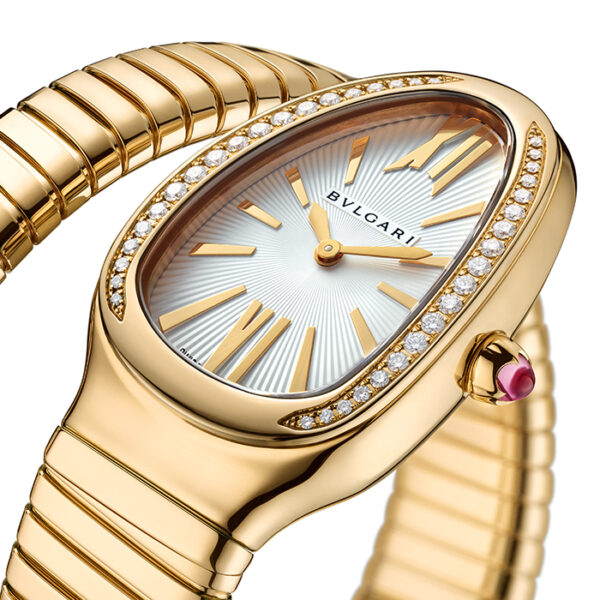 101924 - SERPENTI TUBOGAS