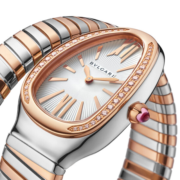 102237 - SERPENTI TUBOGAS