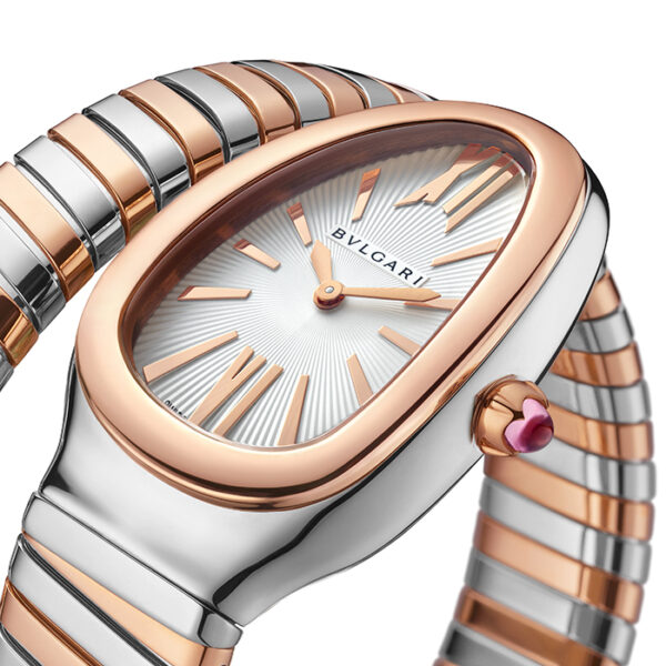 103708 - SERPENTI TUBOGAS