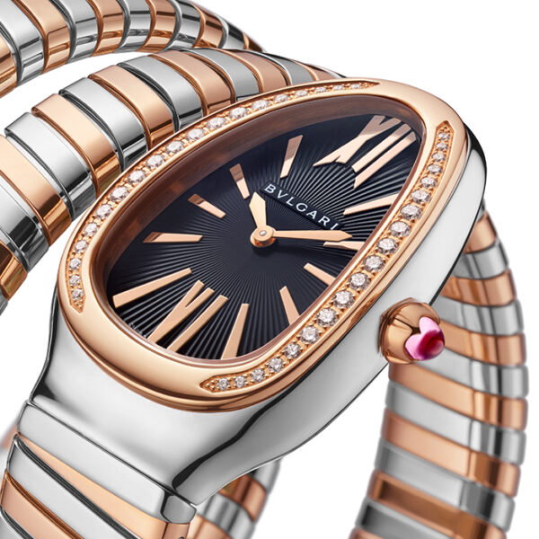 102099 - SERPENTI TUBOGAS