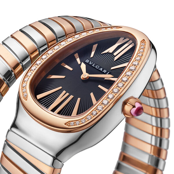 102098 - SERPENTI TUBOGAS