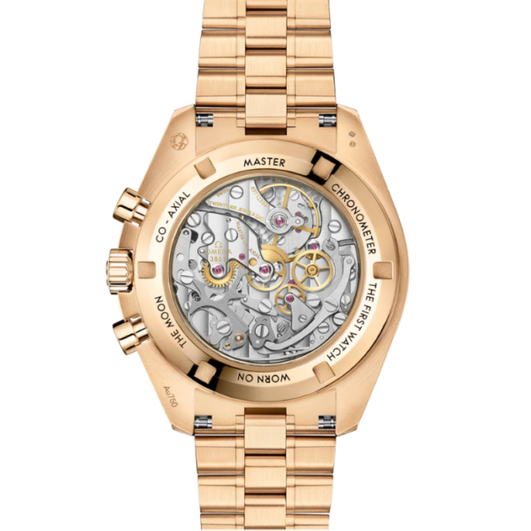 31060425010001 - Speedmaster Moonwatch Professional