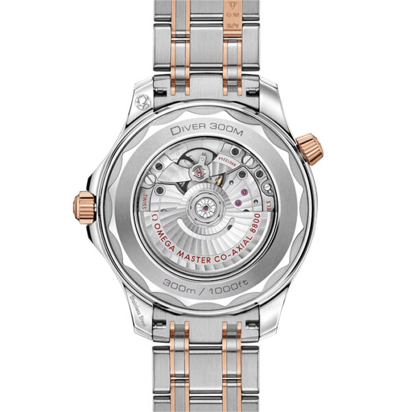 21020422001001 - Seamaster Diver 300M