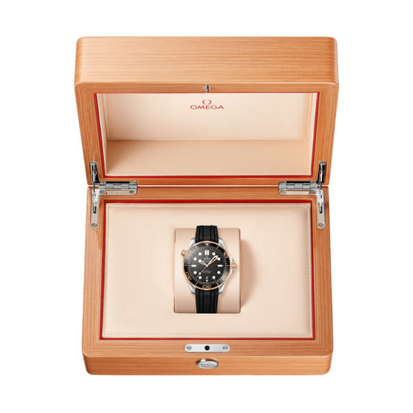 21022422001002 - Seamaster Diver 300M