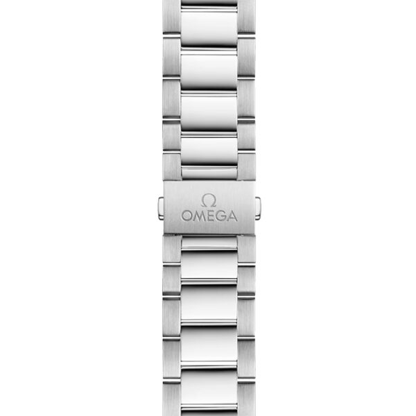 22010412101001 - Aquaterra 150M 41MM