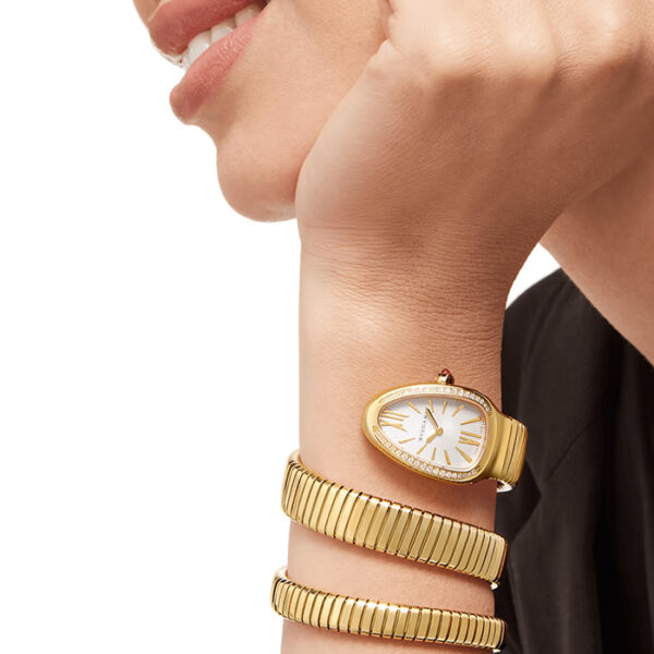 101923 - SERPENTI TUBOGAS